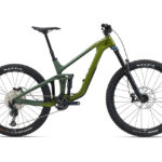 2025 Reign Advanced 2 Mountain Bike For Sale